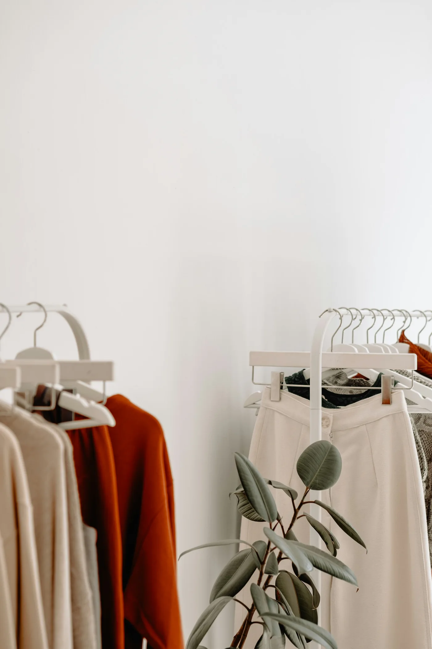 Carefully arranged clothing rails and a leafy plant in a light-filled independent boutique.